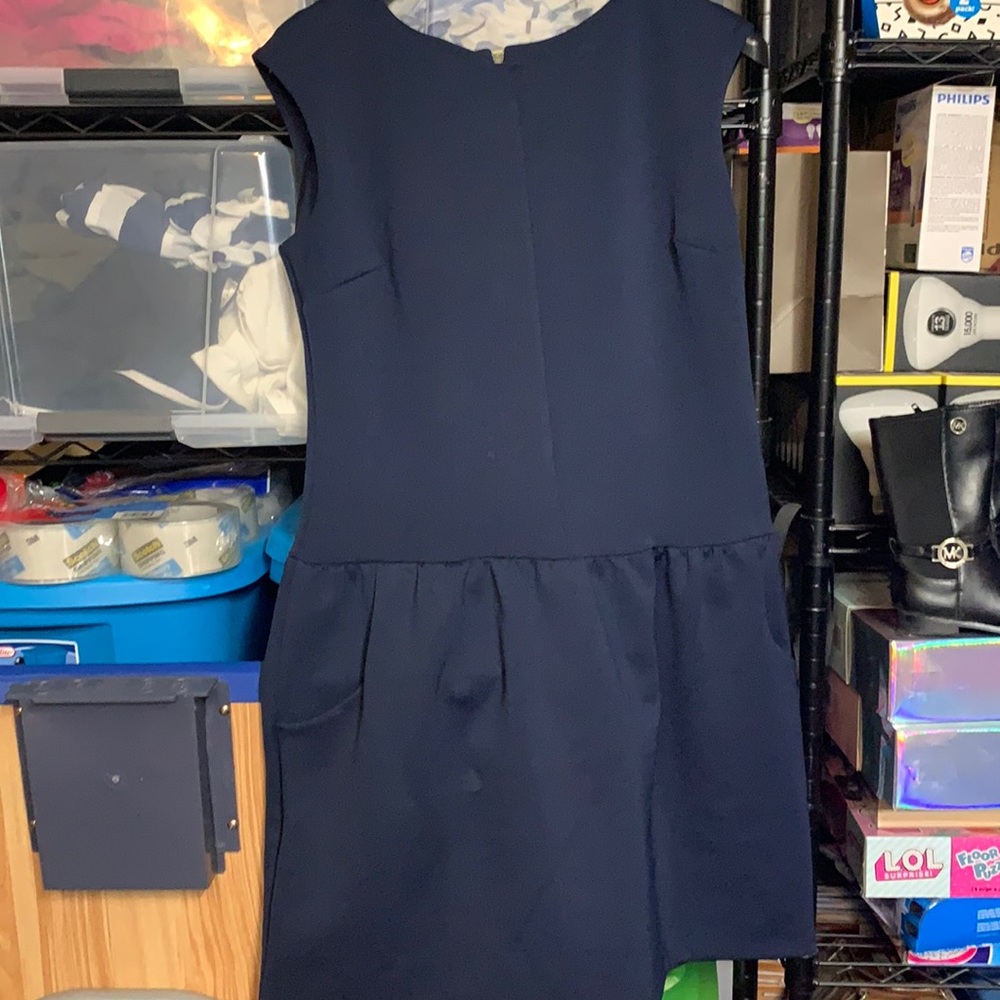 Cynthia rowley pleaded dress